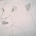 Nala, Le Roi Lion