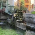 La vieille roue à aubes du moulin disparu