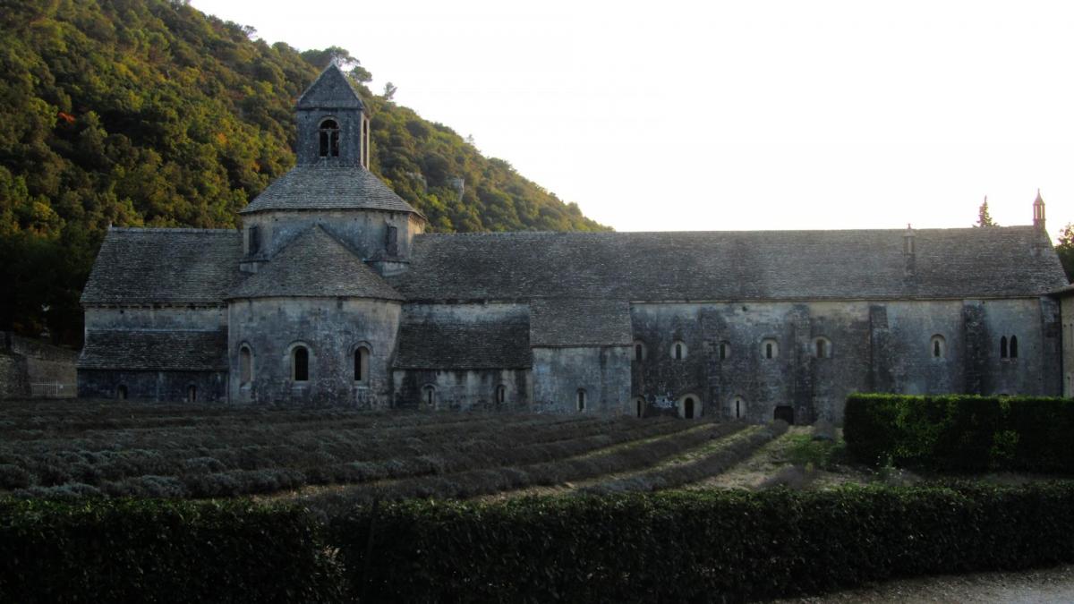 Sénanque1